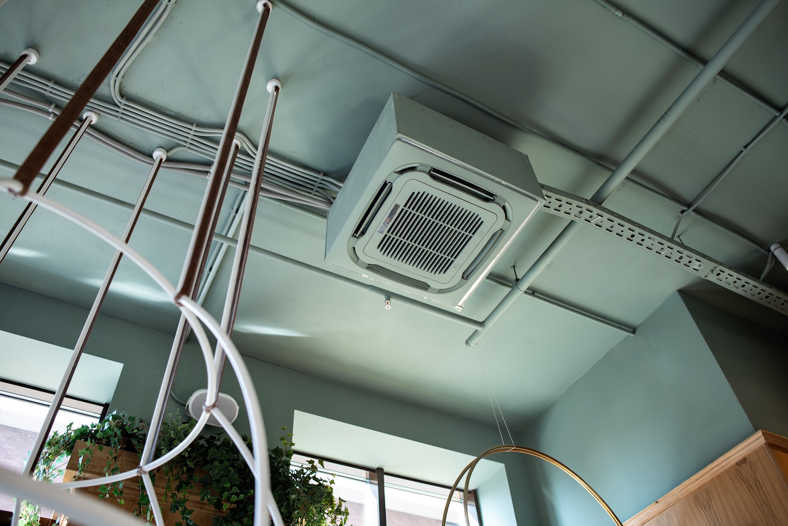 Ресторан The Y (Москва)